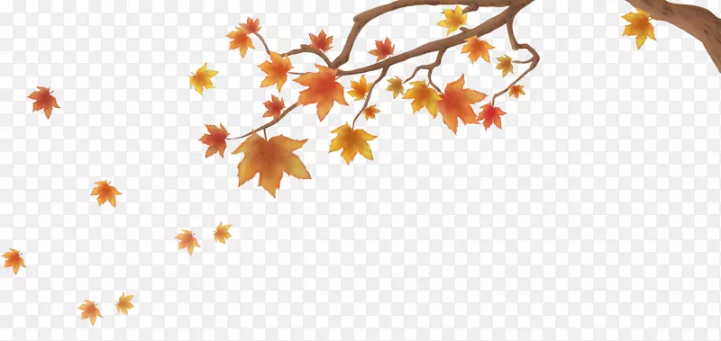 ��ɫ��Ҷ-������