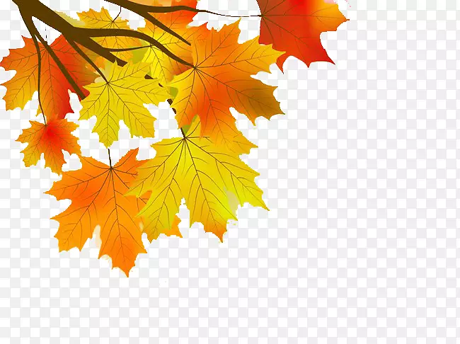 ����-������