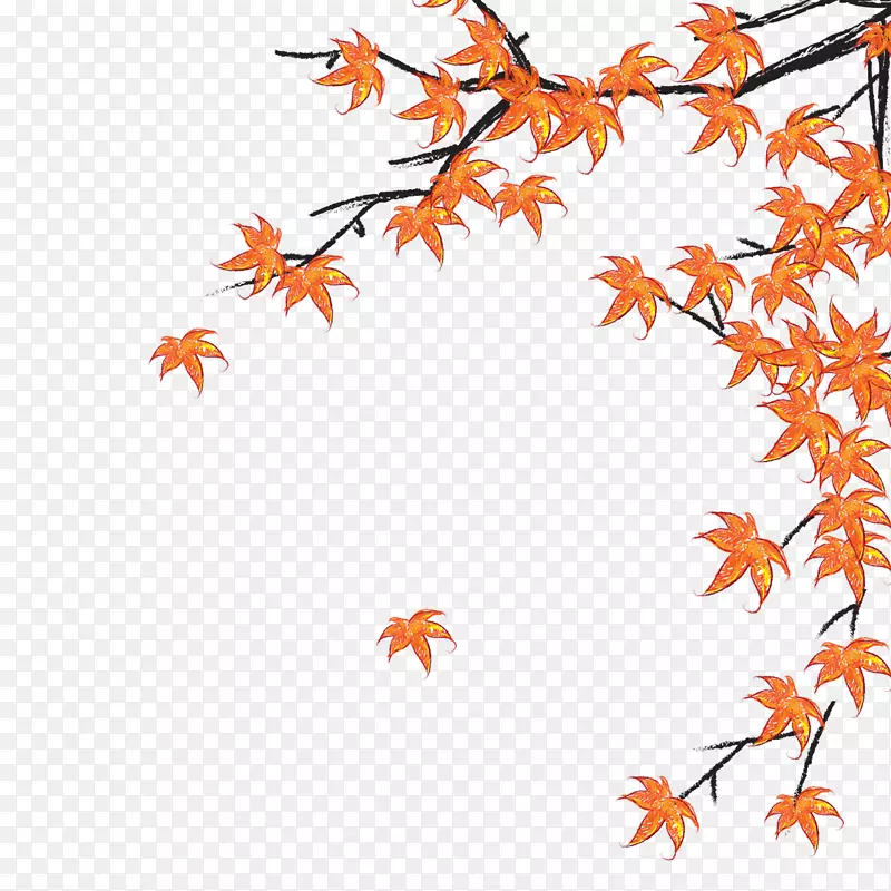 ��ɫ��Ҷ��֦�ز�-������