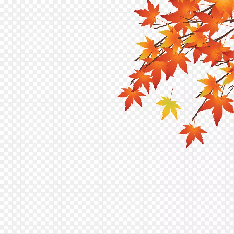 ��Ҷ��֦-������