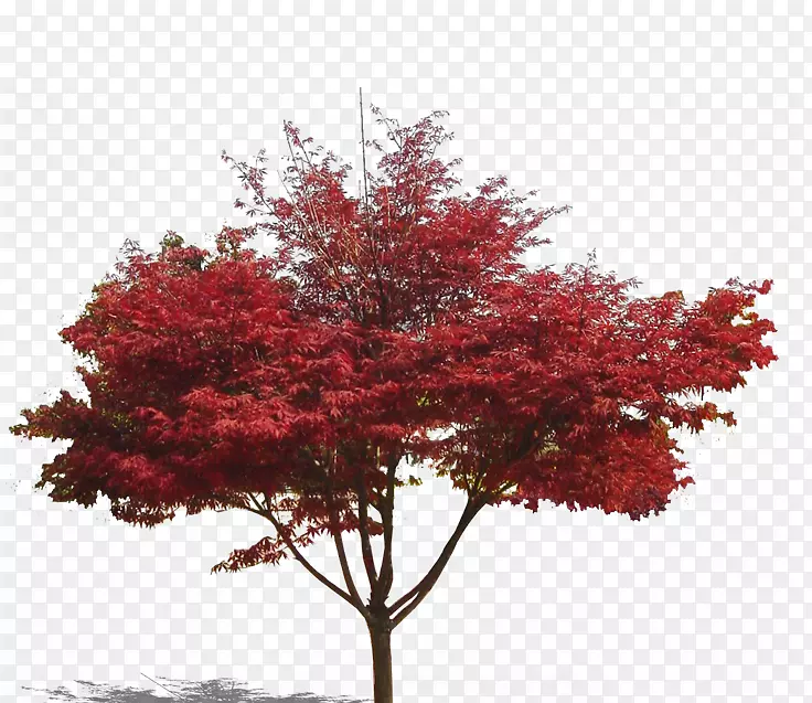 ����-������