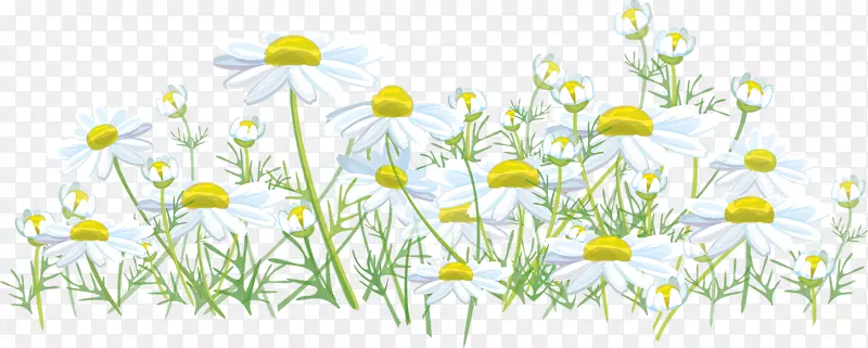 ��ɫС��-������