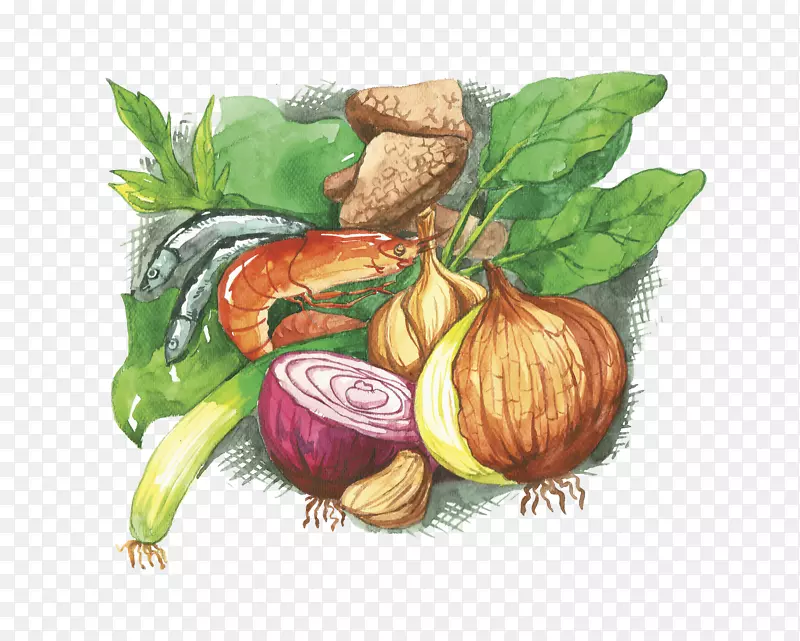 �����������ʳ��-������