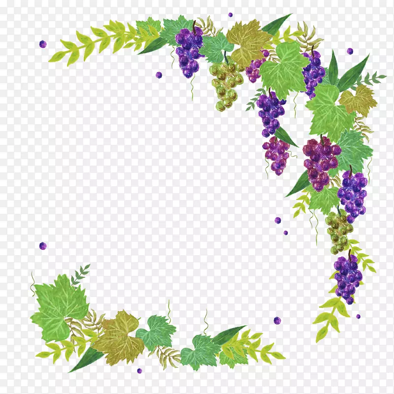 ��ʿɰ���ʳ�ֻ�����԰���ͼ-������