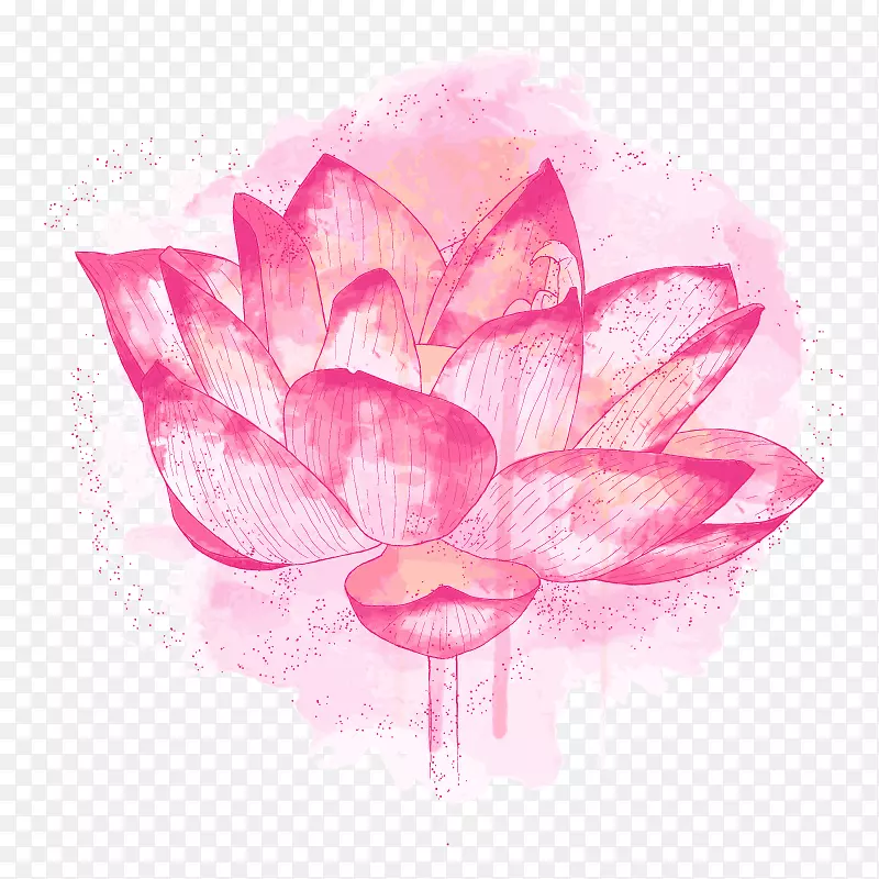 �ɻ�-������