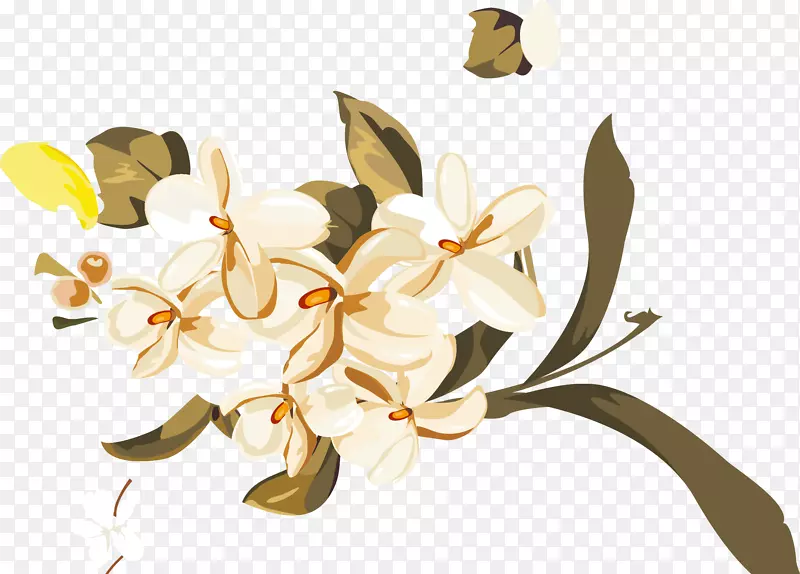 ���ӻ�װ�����ʸ��-������