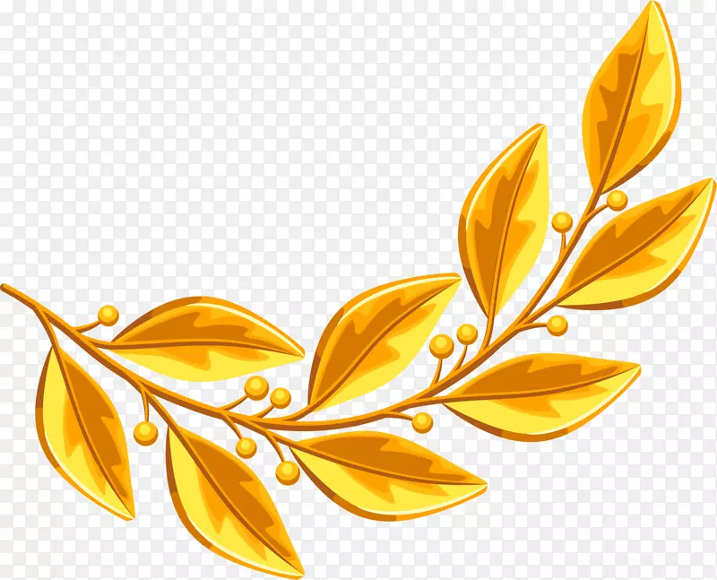 ��ɫ��ҫ��֦-������