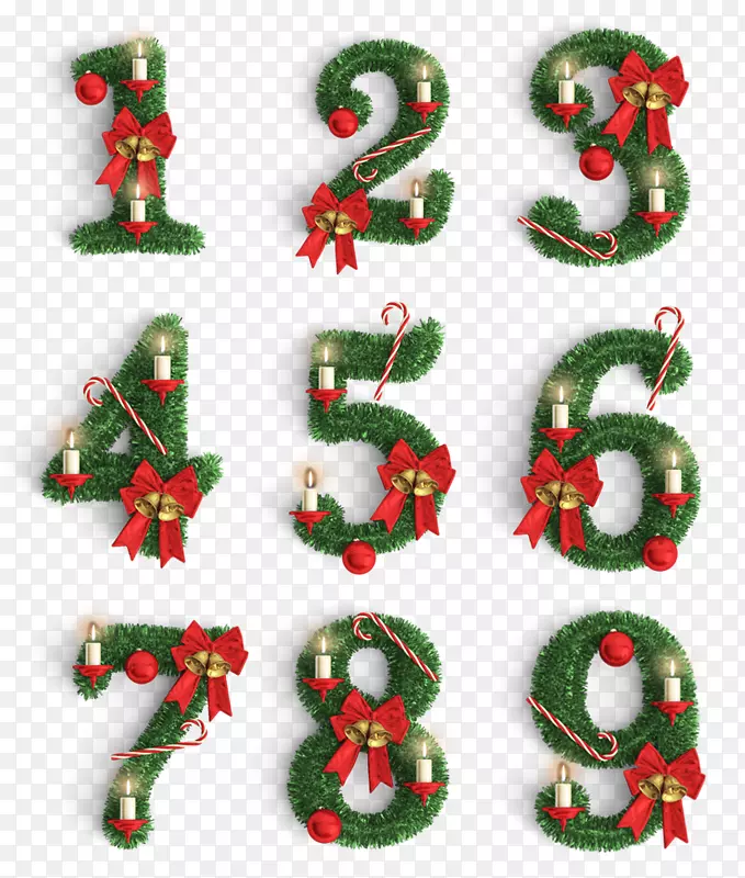 2018ʥ��������ֲ���������-������