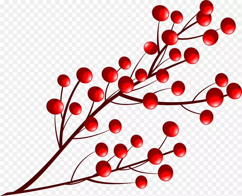 ��ɫ��ͨ��֦-������