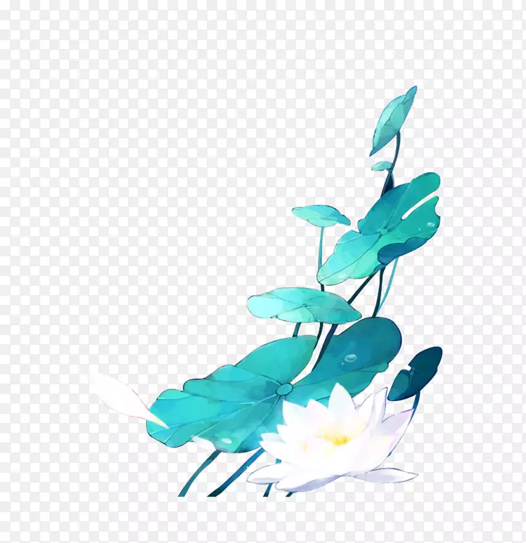 ˮ�ʺɻ��ز�-������