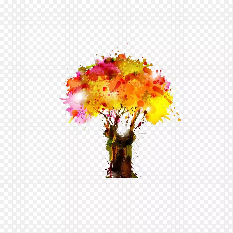 ��ī��֦-������