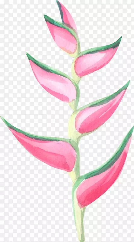 �ֻ�ˮ�ʷ�ɫ����-������