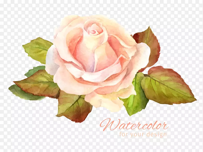 ˮ�ʻ���-������