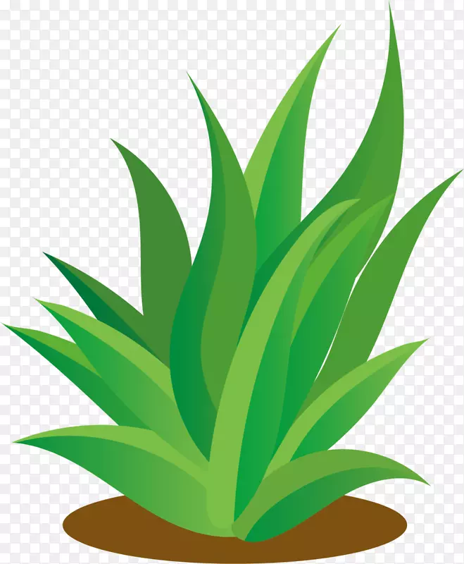 ������������С��-������