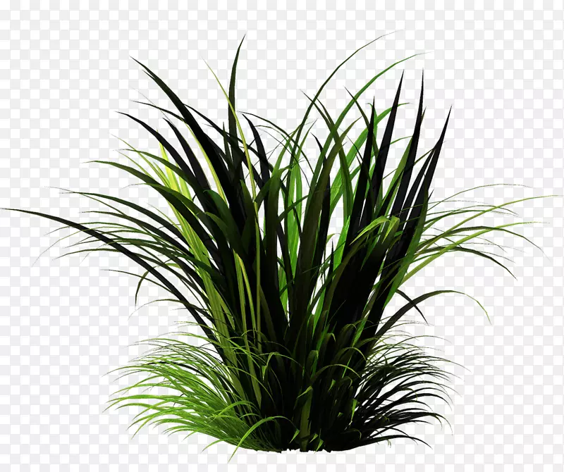 һ��С��-������