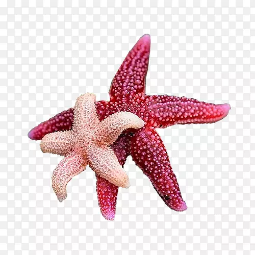 ���⺣��ͼƬ-������