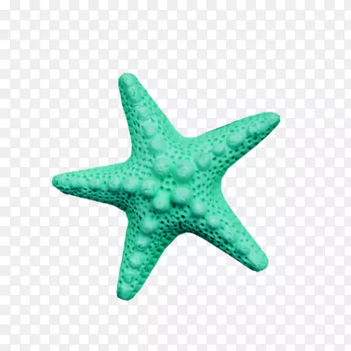 ���⺣��-������