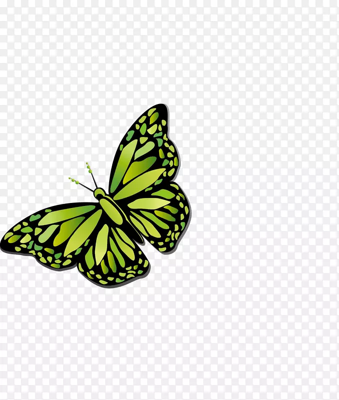 �������ĺ���-������