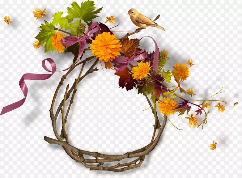 �ʻ�����-������