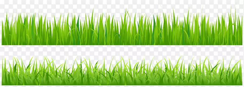 ïʢ�ݵ��ز�ʸ��-������