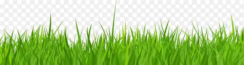 �ݵ���ɫ�߿�-������