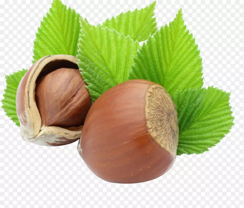 ����ϳ���ӰҬ��-������