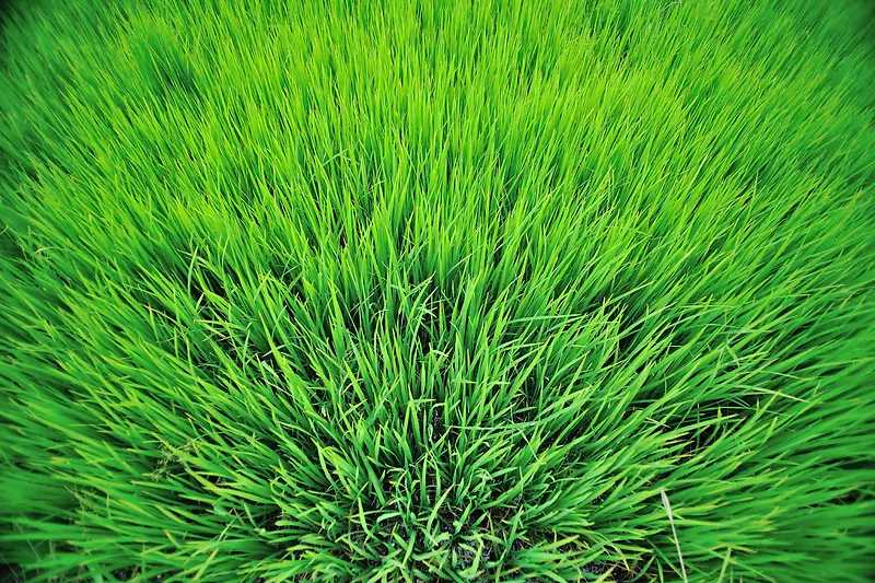 ïʢ���̲�-������