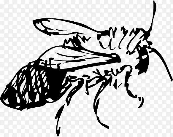 �ֻ����-������