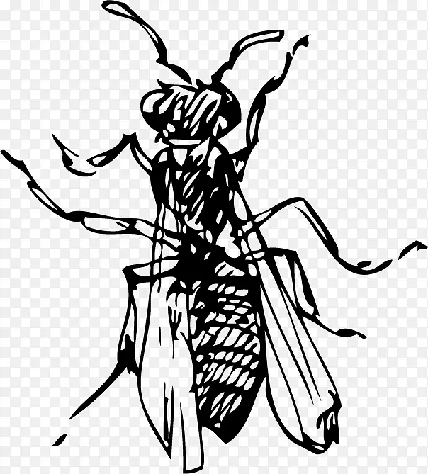 �ֻ����-������