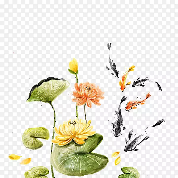 �ֻ�ˮ�ʳ����ɻ����-������