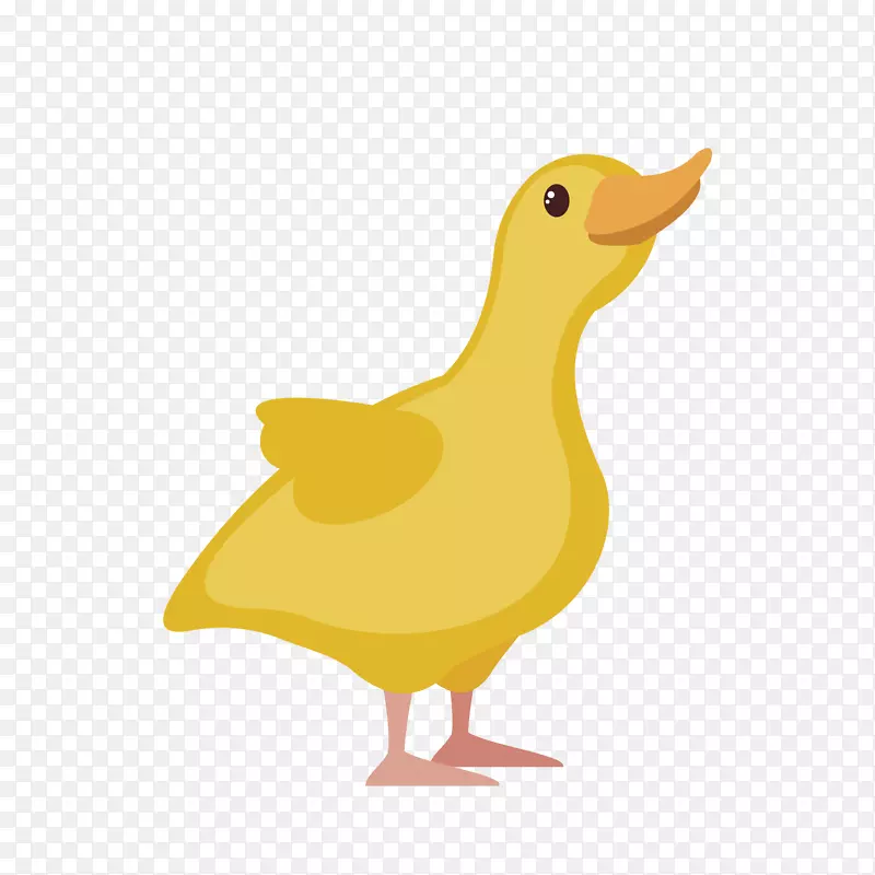 ��ͨ�ɰ���������ز�-������