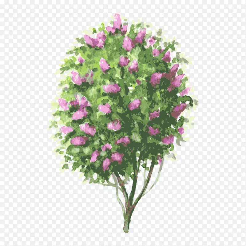 �� ��ľ-������