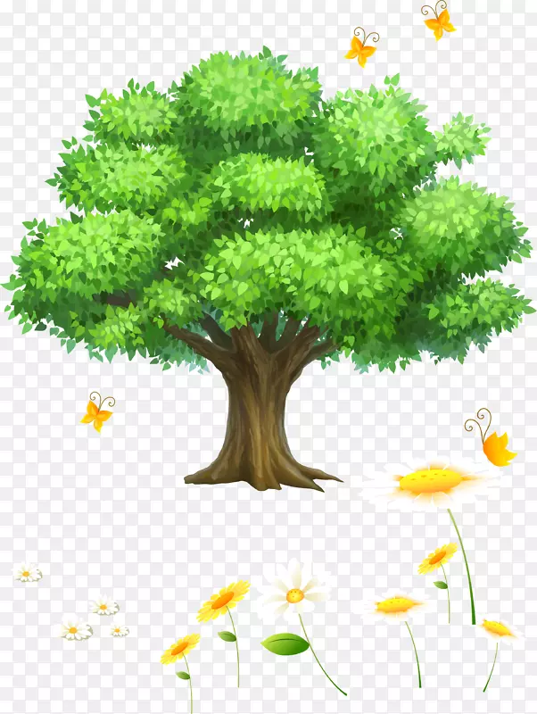 �� ��ľ ľ ֲ��-������