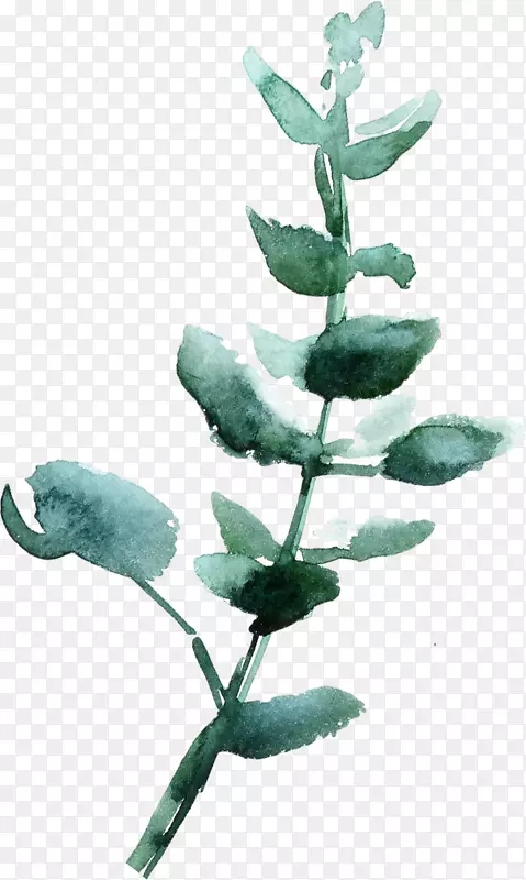 ˮ�ʸ��Ŵ���ɫ��Ҷ-������