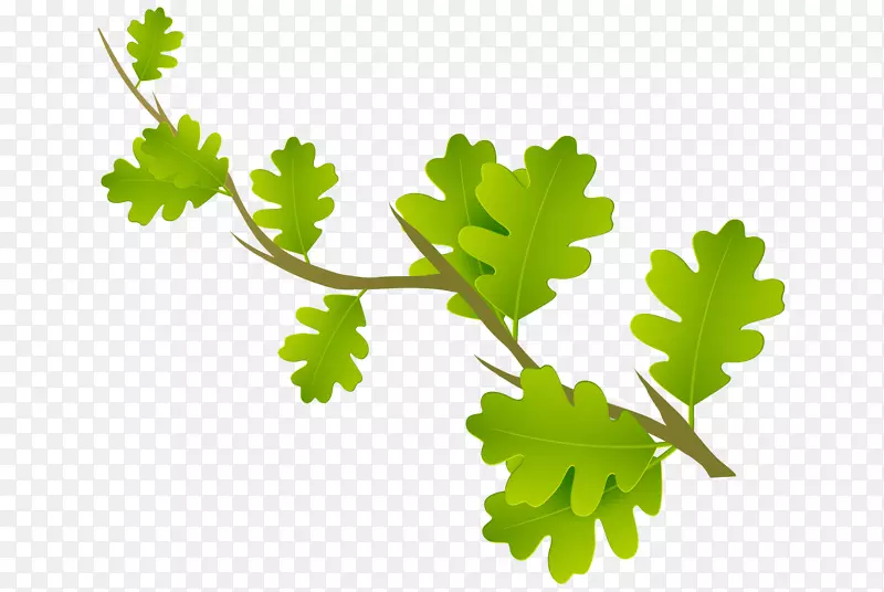 ����ɫ��ʸ����֦��Ҷ-������