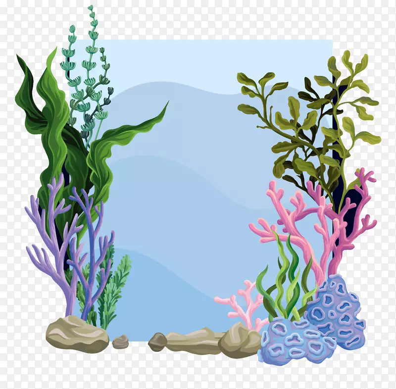 ʸ�����ݱ߿�����-������