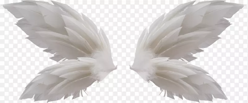 ���������-������