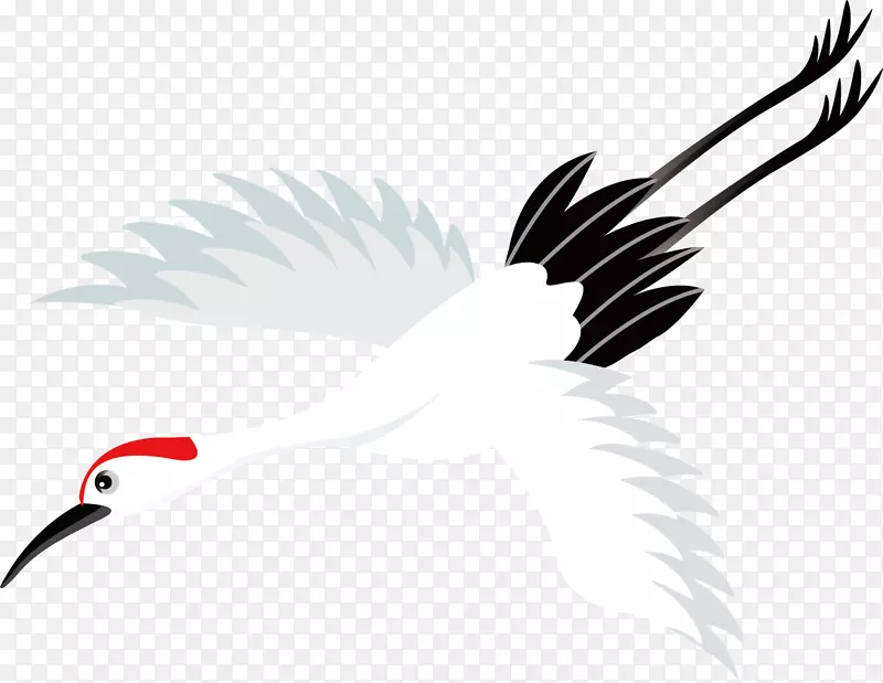 ��ɫ����ز�ͼƬ-������