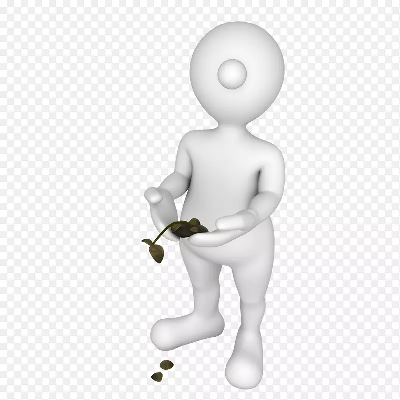 ������ֲ��������-������