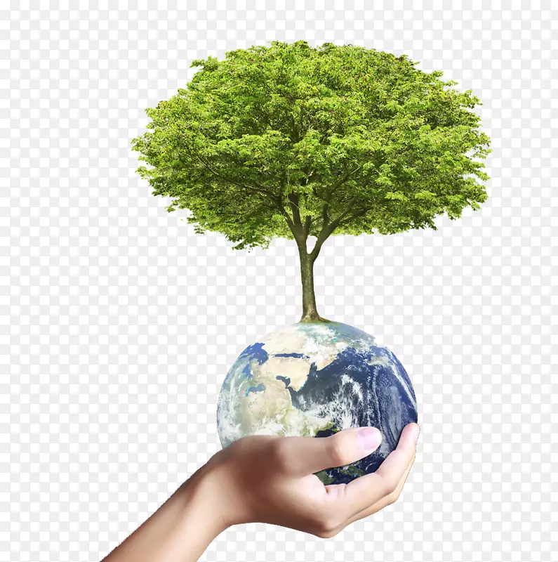 ��������������ֲ-������