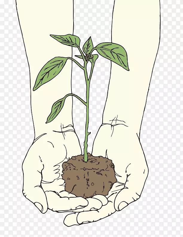 ������ֲ��������-������