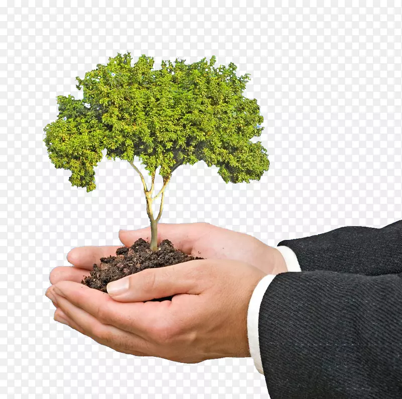 ��������������ֲ-������