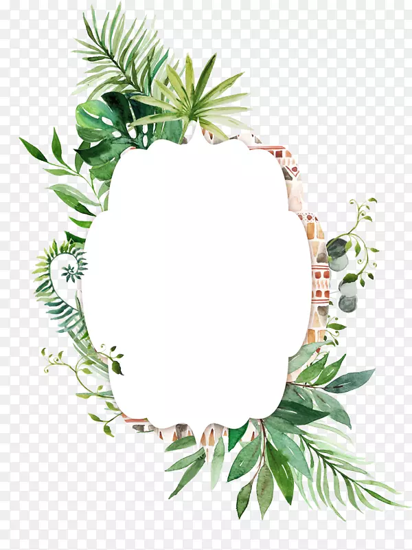 ��ɫֲ��߿�װ��-������