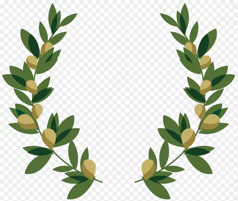 ��ʵ������Գƻ���-������