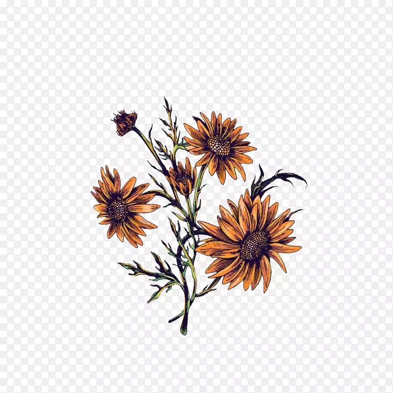 �ֻ�ջ�����ͼƬ-������