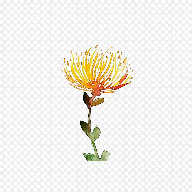 ʸ��������ˮ�ʻ�-������