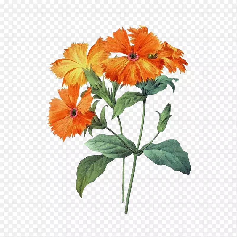 �ֻ�ɰ��ջ�ͼƬ-������