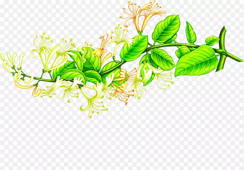 ��ɫ�ֻ滨�������-������