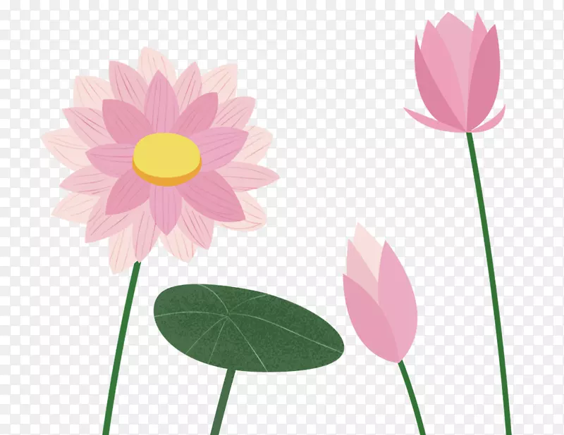 �ֻ濨ͨ��ɫ��Ҷ�ɻ�-������