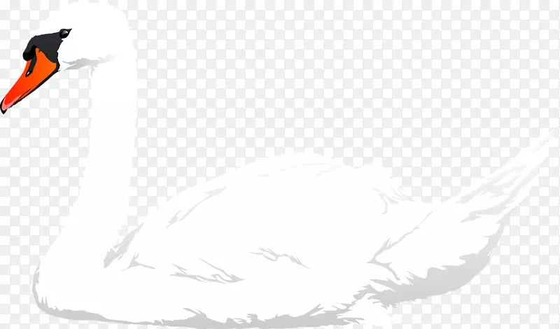 ��ɫ���-������